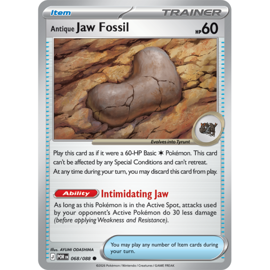 Antique Jaw Fossil | 068-088