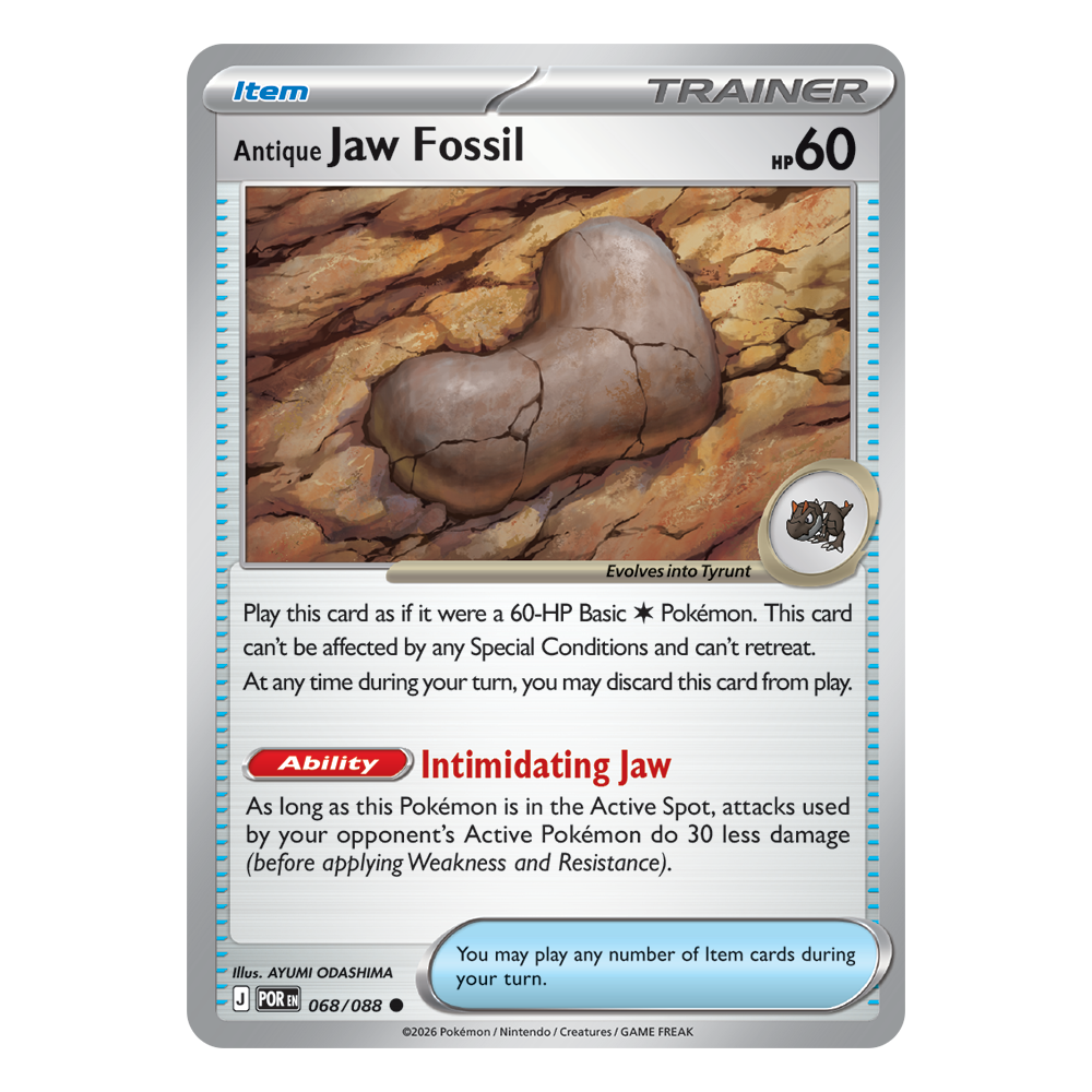 Antique Jaw Fossil | 068-088