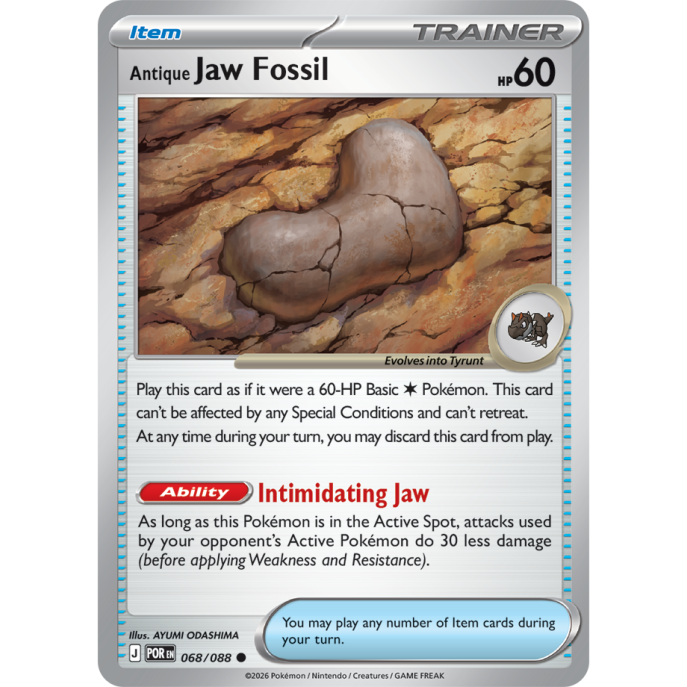 Antique Jaw Fossil | 068-088