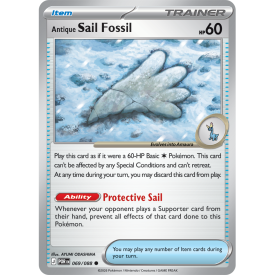 Antique Sail Fossil | 069-088