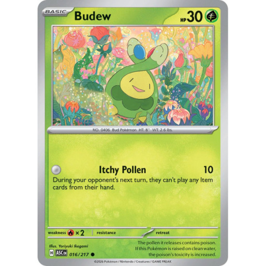 Budew | 016/217
