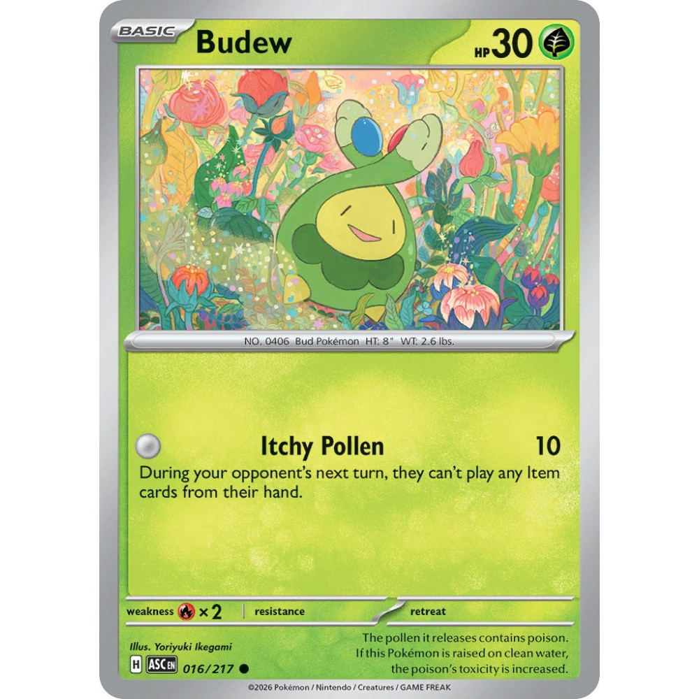 Budew | 016/217