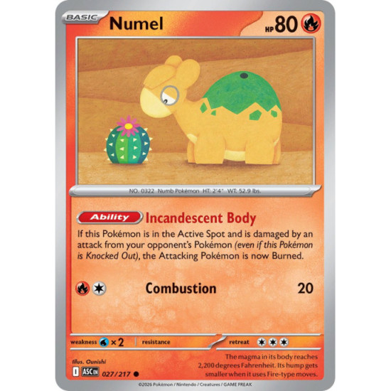 Numel | 027/217