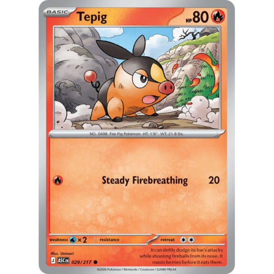 Tepig | 029/217