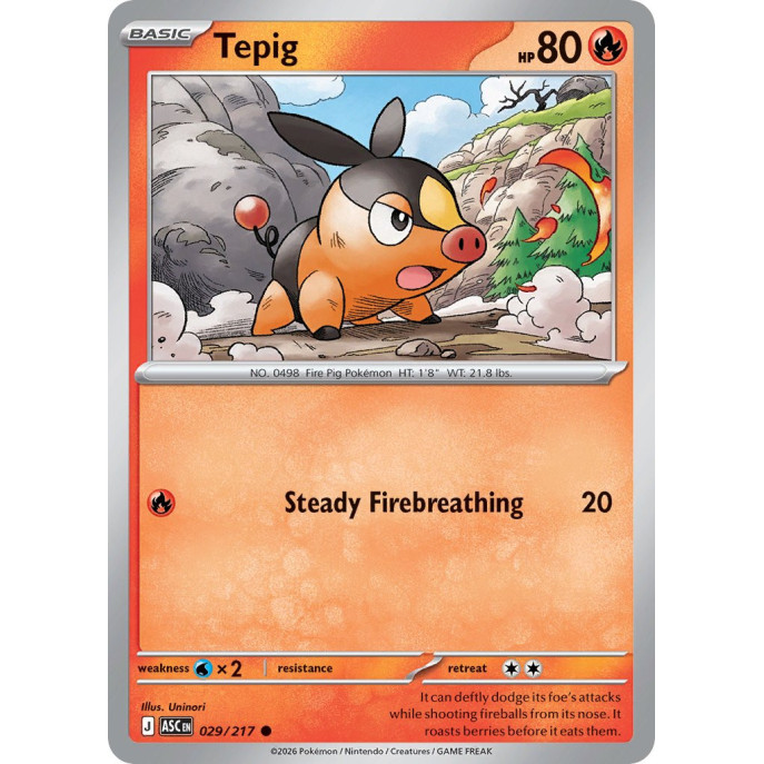 Tepig | 029/217
