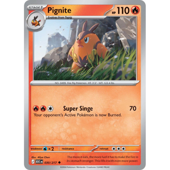 Pignite | 030/217