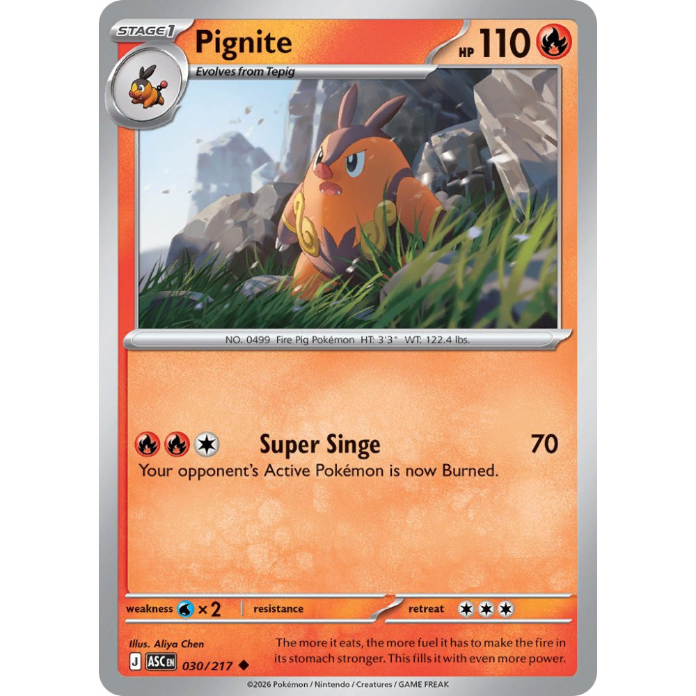 Pignite | 030/217