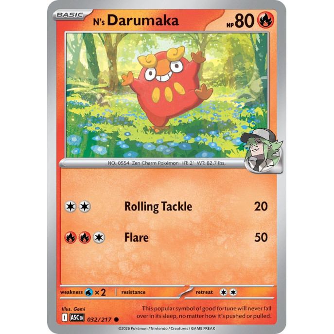 Ns Darumaka | 032/217