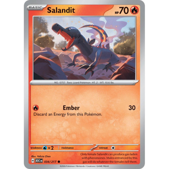 Salandit | 034/217