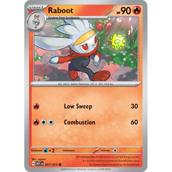 Raboot | 037/217