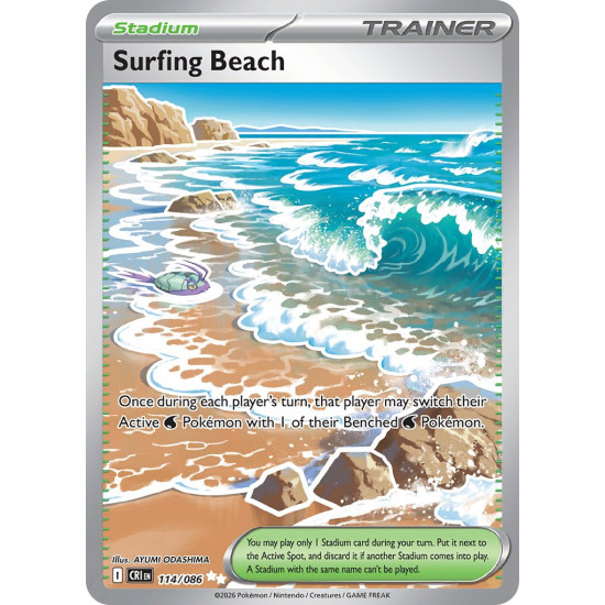 Surfing Beach | 114-086