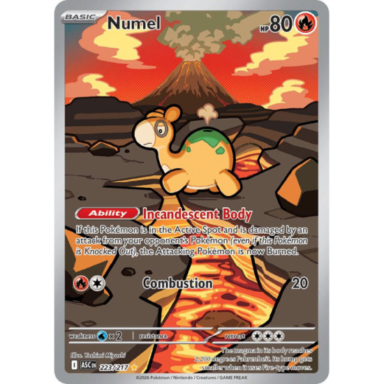 Numel | 223/217