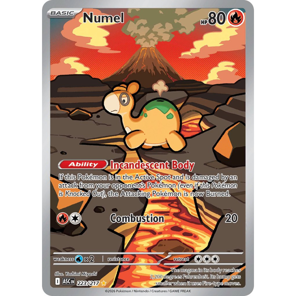 Numel | 223/217
