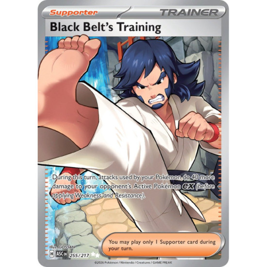 Black Belts Training | 255/217