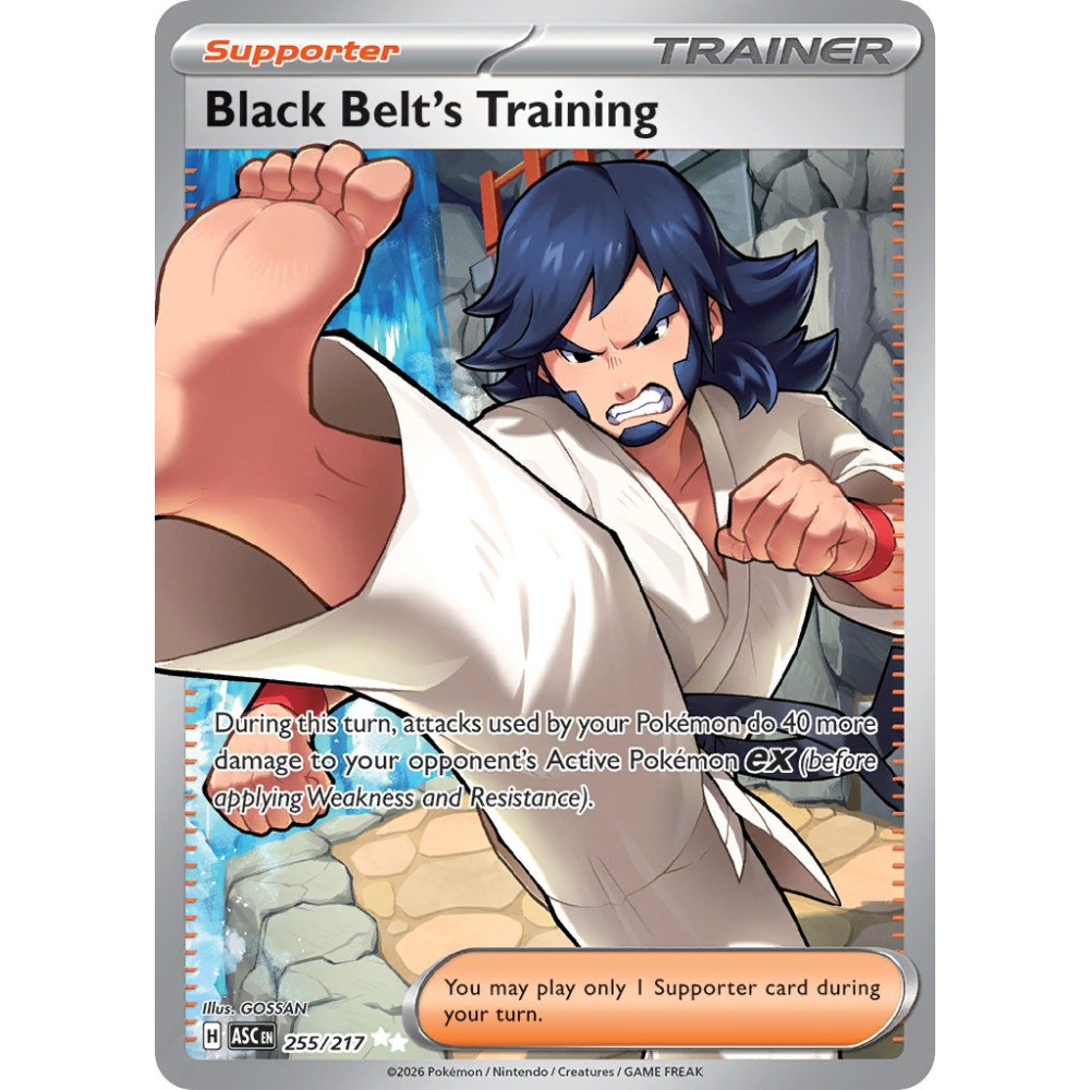 Black Belts Training | 255/217