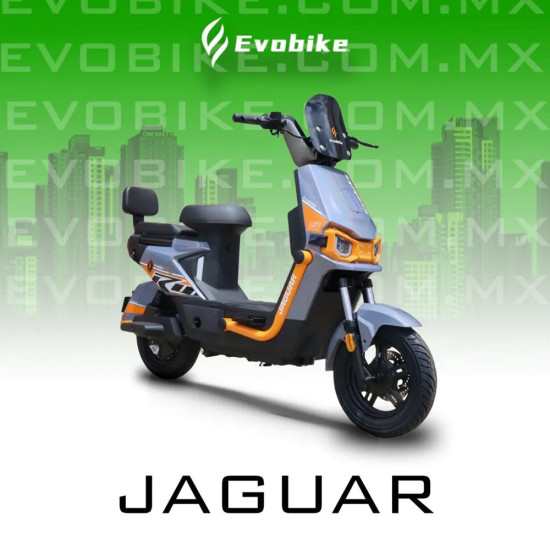 JAGUAR 60V27Ah