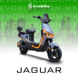 JAGUAR 60V27Ah