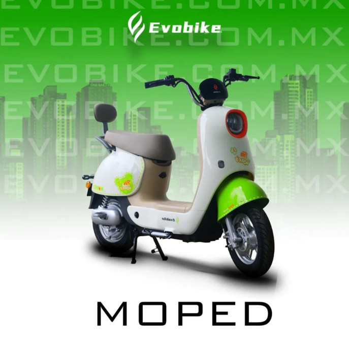 MOPED 48V27Ah