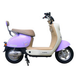 MOPED 48V27Ah