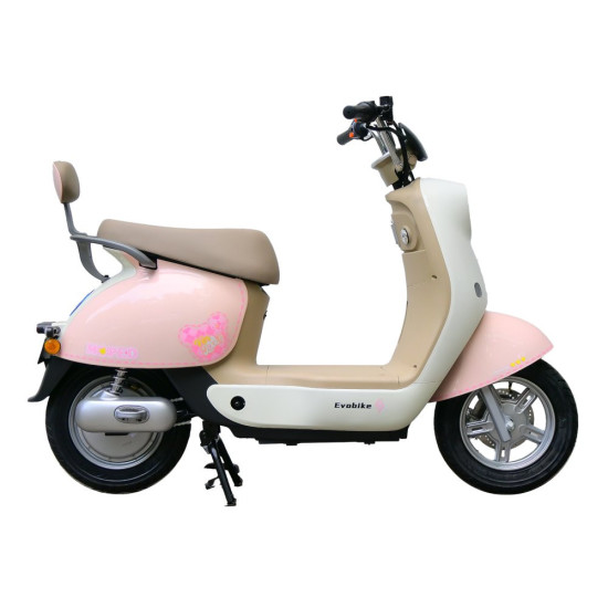 MOPED 48V27Ah