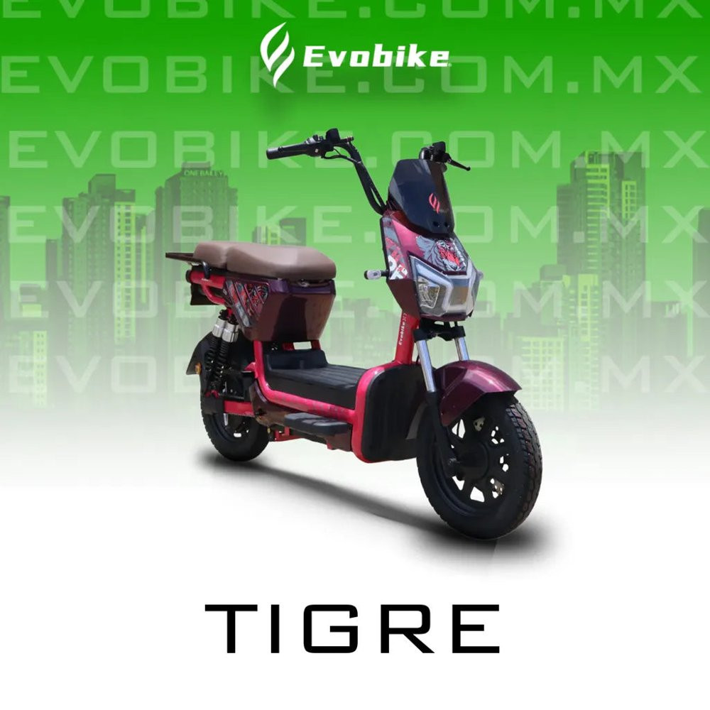 TIGRE 60V27Ah