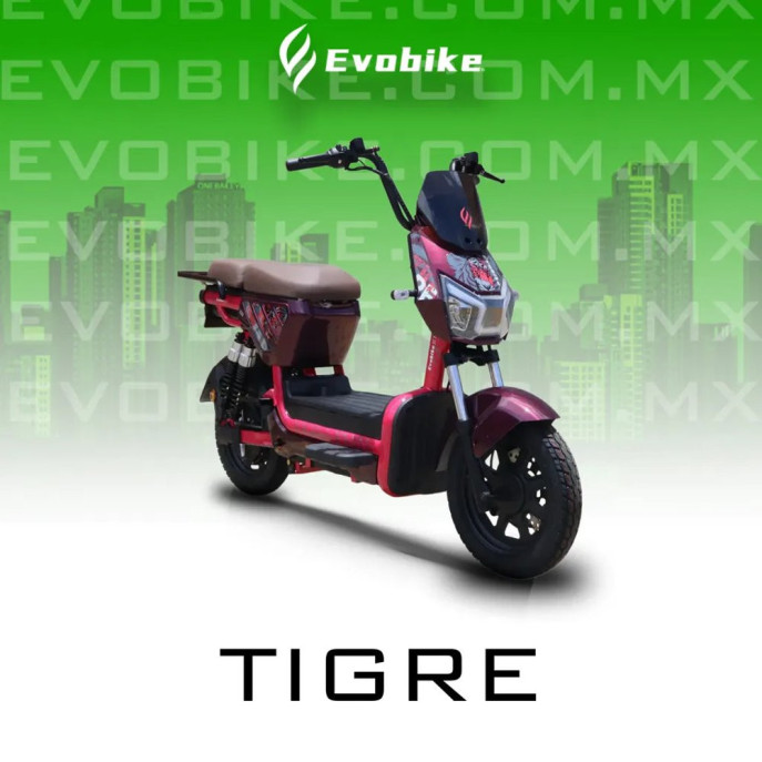 TIGRE 60V27Ah