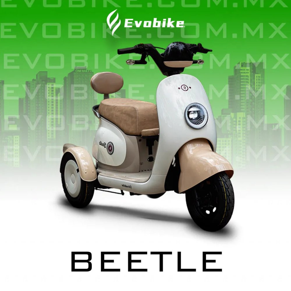 BEETLE 48V27Ah