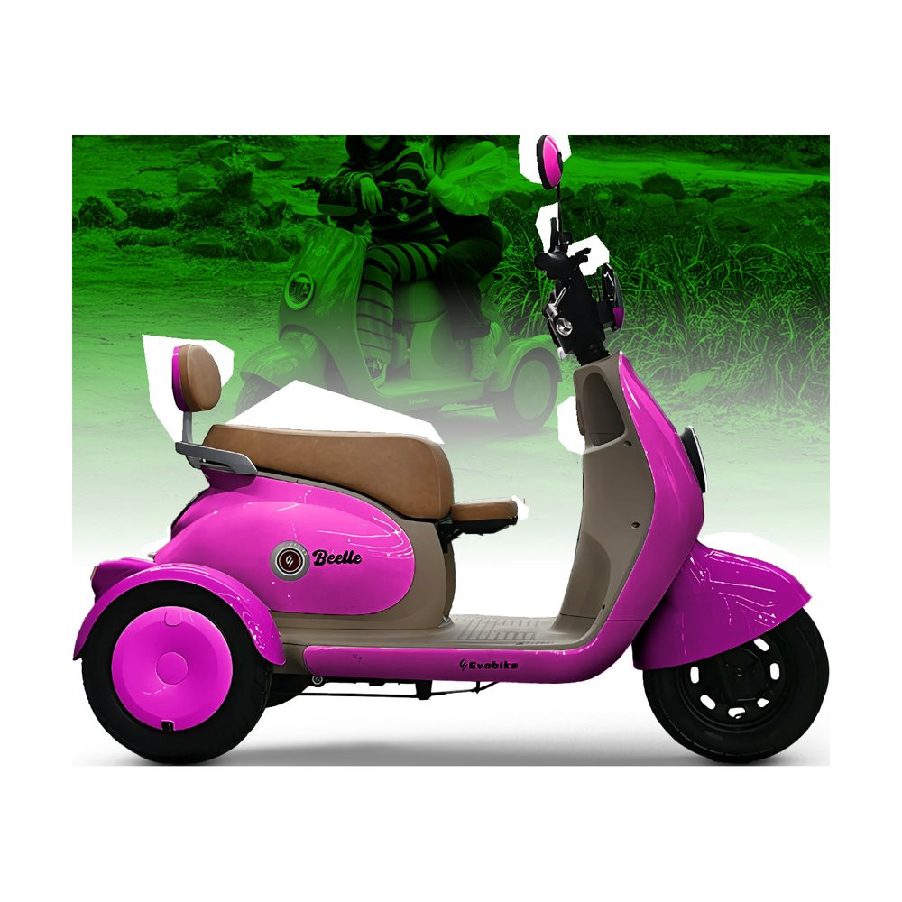 BEETLE 48V27Ah