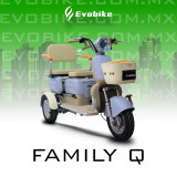 FAMILY Q 48V27Ah