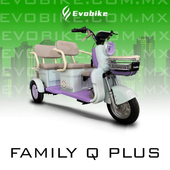FAMILY PLUS Q 60V27Ah