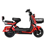 RAYO PRO 60V27Ah
