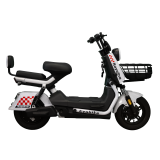 RAYO PRO 60V27Ah